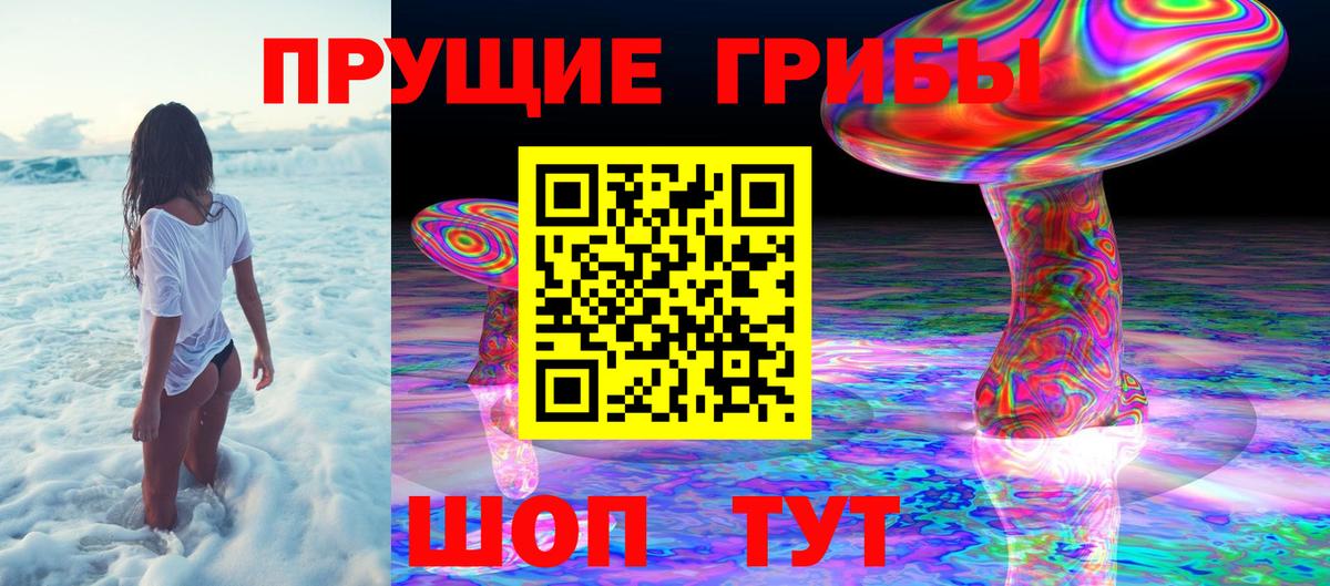 Псилоцибиновые грибы Psilocybe  Вход с VPN  Южно-Сахалинск 