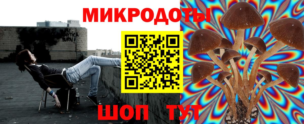 Псилоцибиновые грибы мухоморы Южно-Сахалинск